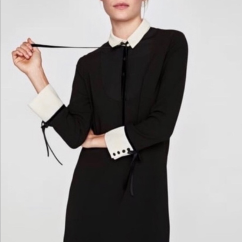 Zara black and white collared dress NWT XS